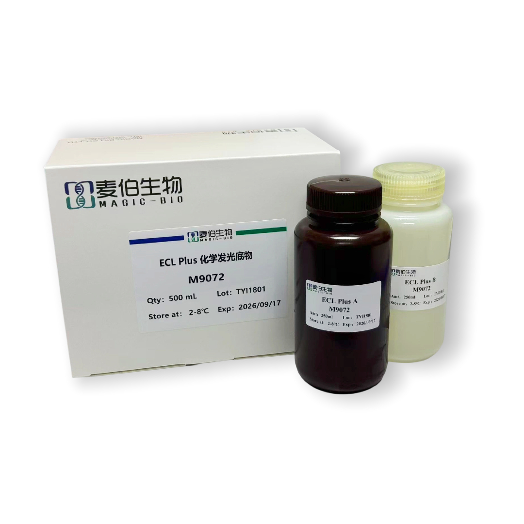 M907  ECL Plus化學(xué)發(fā)光底物